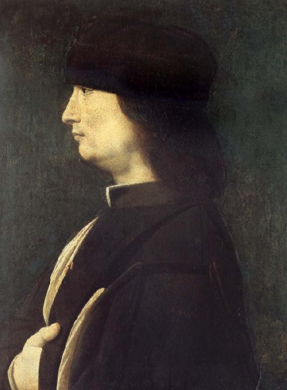 BOLTRAFFIO, Giovanni Antonio Portrait of a Gentleman oil painting picture